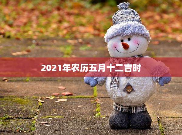 2021年农历五月十二吉时
