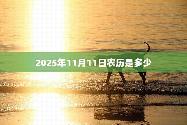 2025年11月11日农历是多少