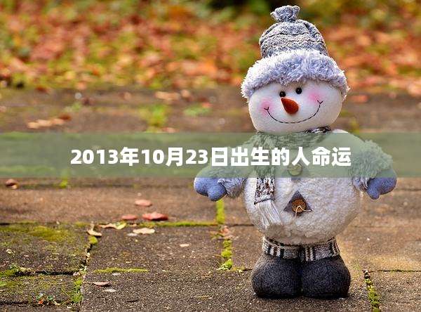 2013年10月23日出生的人命运