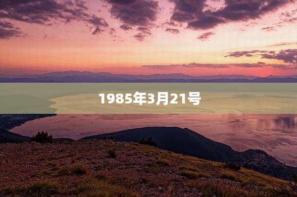 1985年3月21号