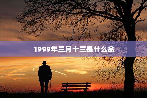 1999年三月十三是什么命