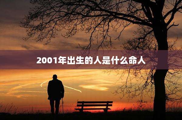 2001年出生的人是什么命人