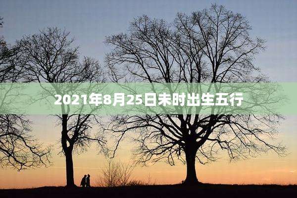2021年8月25日未时出生五行