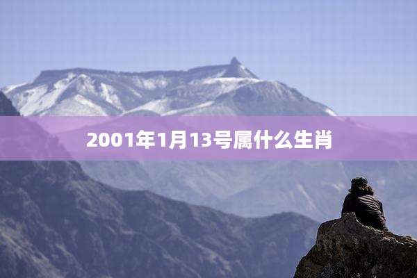 2001年1月13号属什么生肖