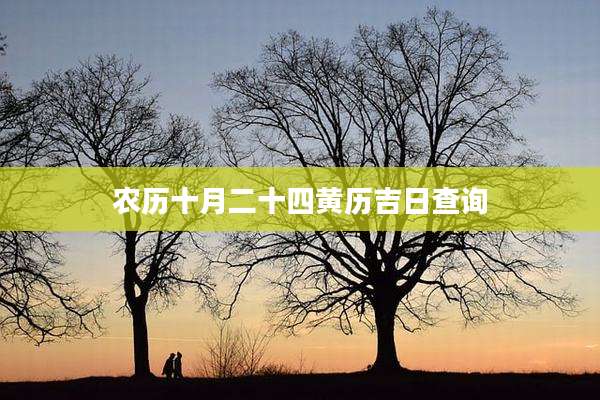 农历十月二十四黄历吉日查询