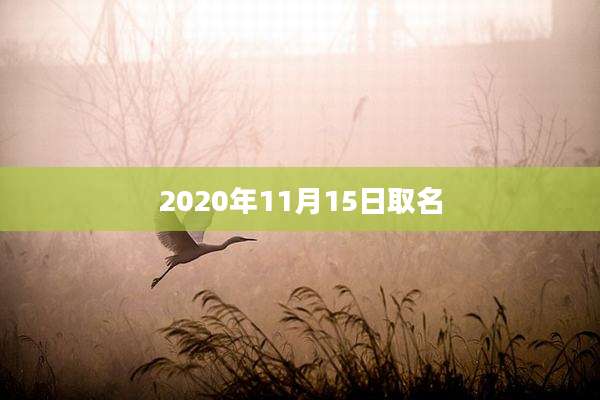 2020年11月15日取名