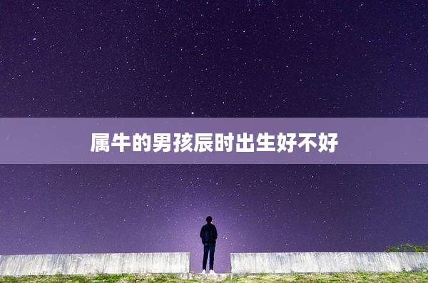 属牛的男孩辰时出生好不好
