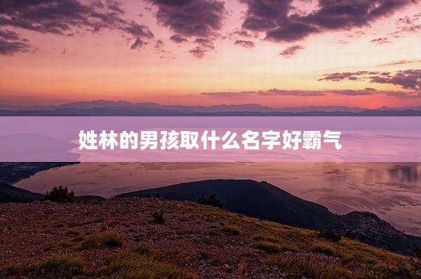 姓林的男孩取什么名字好霸气