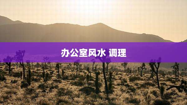 办公室风水 调理