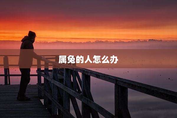 属兔的人怎么办