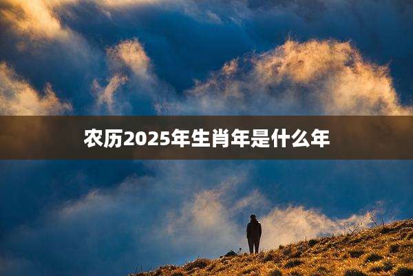 农历2025年生肖年是什么年