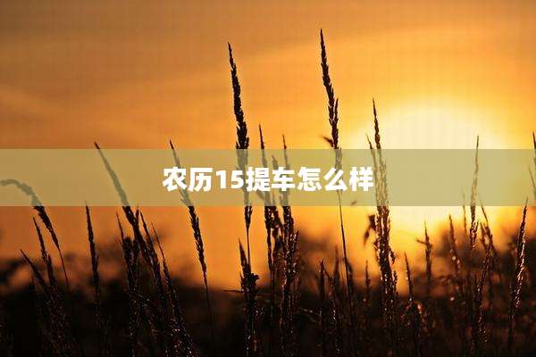 农历15提车怎么样