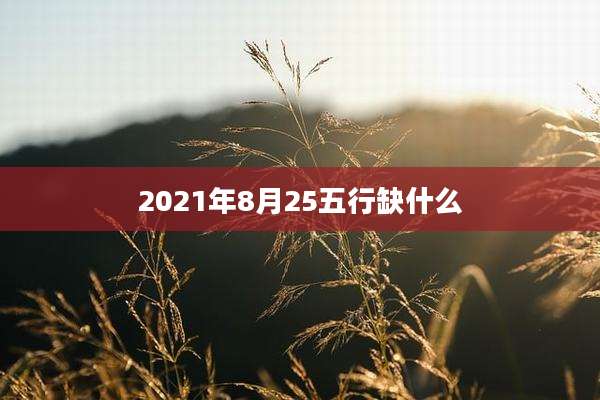 2021年8月25五行缺什么