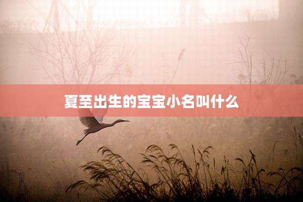 夏至出生的宝宝小名叫什么