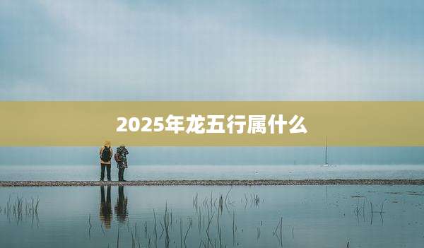 2025年龙五行属什么