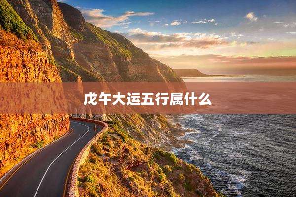 戊午大运五行属什么