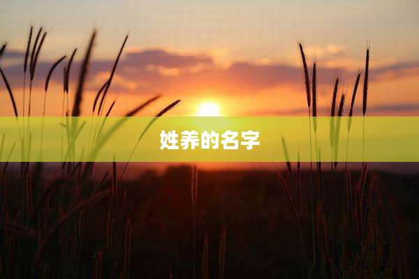 姓养的名字