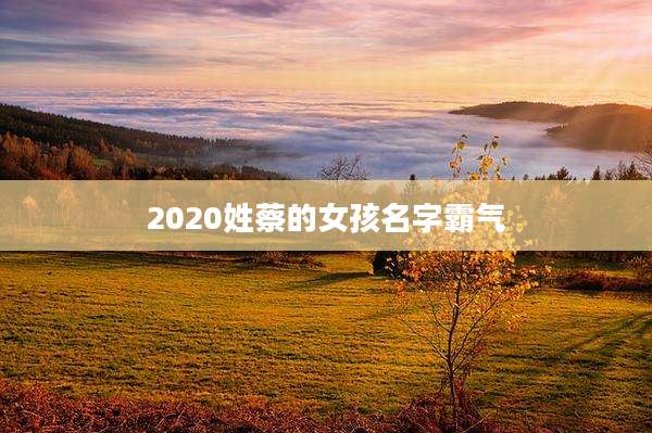 2020姓蔡的女孩名字霸气
