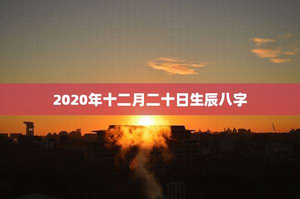 2020年十二月二十日生辰八字