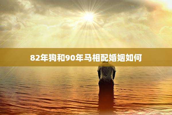 82年狗和90年马相配婚姻如何