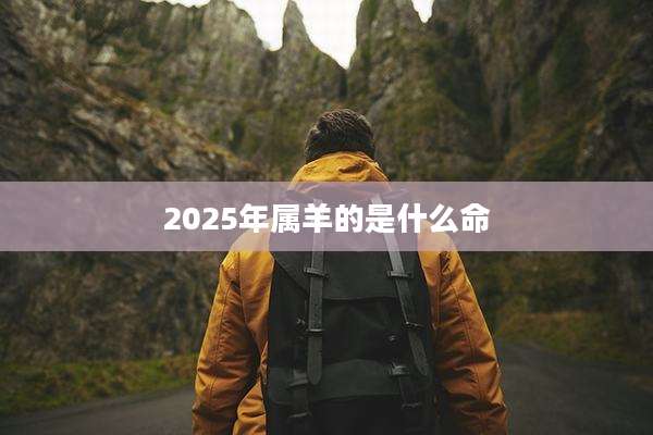 2025年属羊的是什么命