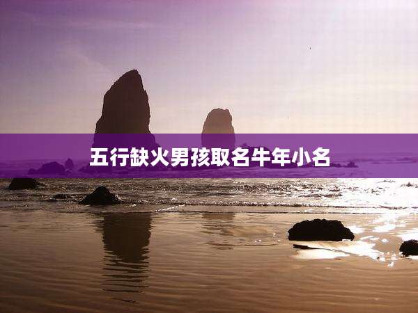 五行缺火男孩取名牛年小名