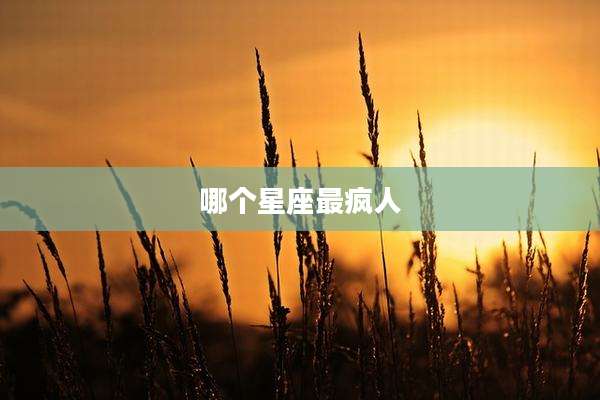 哪个星座最疯人