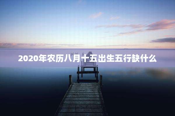 2020年农历八月十五出生五行缺什么