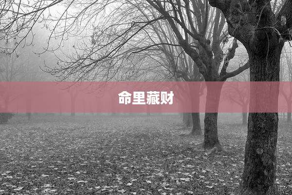 命里藏财