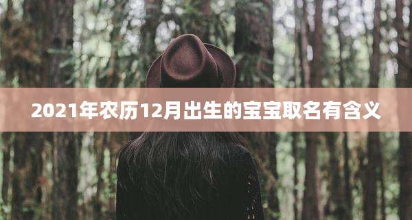 2021年农历12月出生的宝宝取名有含义