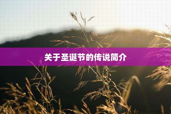 关于圣诞节的传说简介