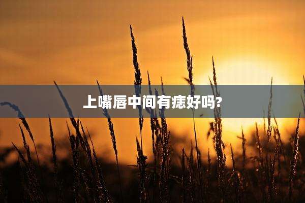上嘴唇中间有痣好吗?