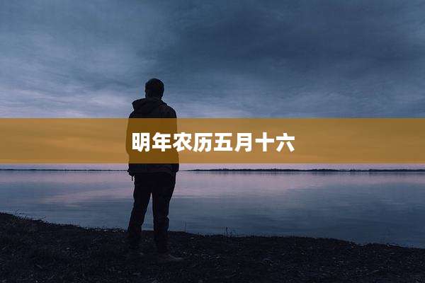 明年农历五月十六