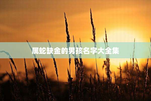 属蛇缺金的男孩名字大全集