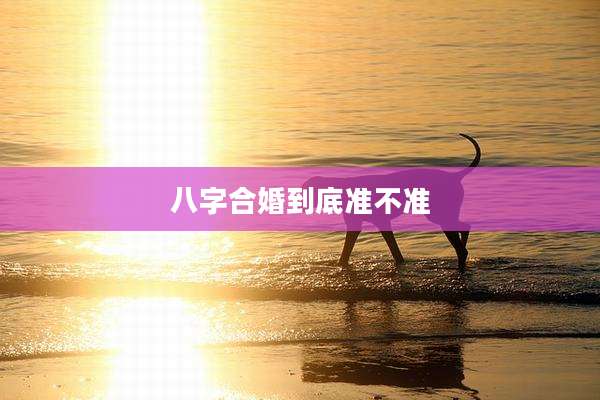 八字合婚到底准不准