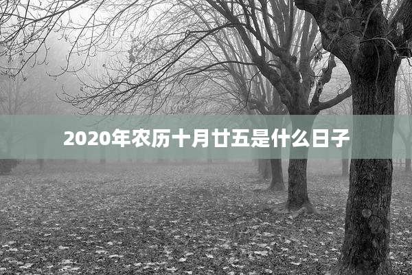 2020年农历十月廿五是什么日子