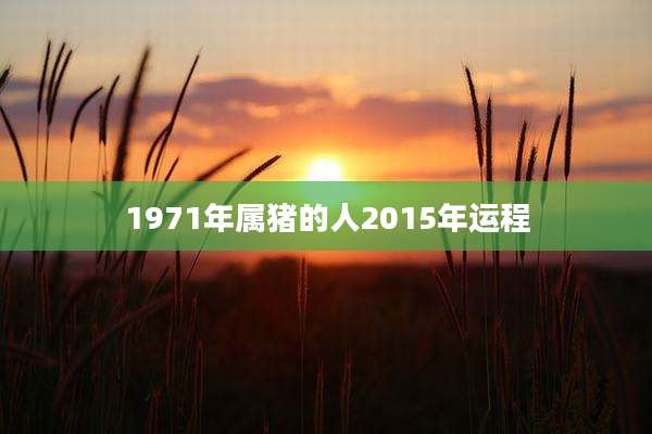 1971年属猪的人2015年运程