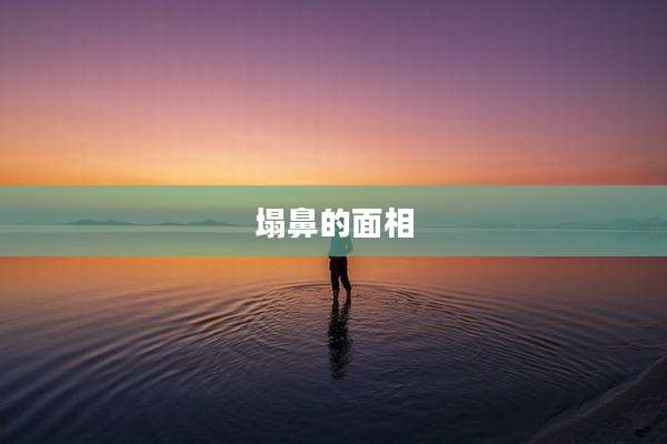 塌鼻的面相