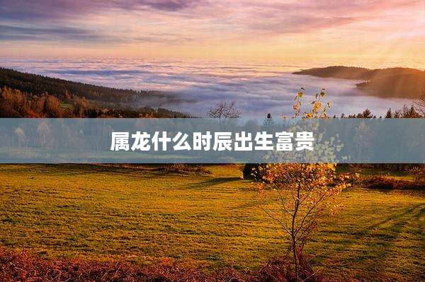 属龙什么时辰出生富贵