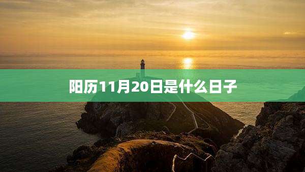 阳历11月20日是什么日子