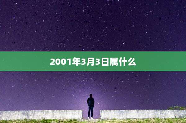 2001年3月3日属什么