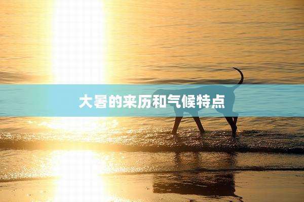 大暑的来历和气候特点