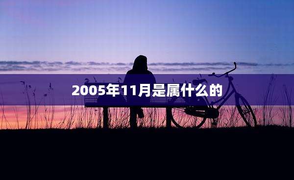 2005年11月是属什么的