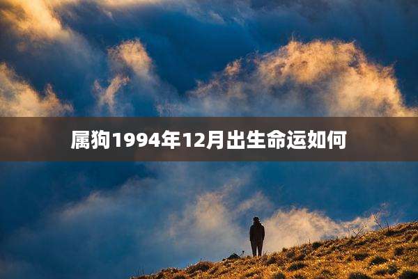 属狗1994年12月出生命运如何