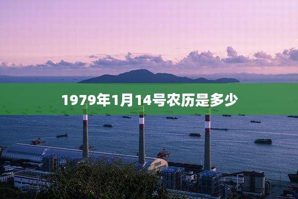 1979年1月14号农历是多少