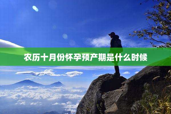 农历十月份怀孕预产期是什么时候