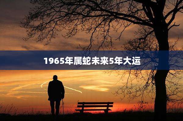 1965年属蛇未来5年大运