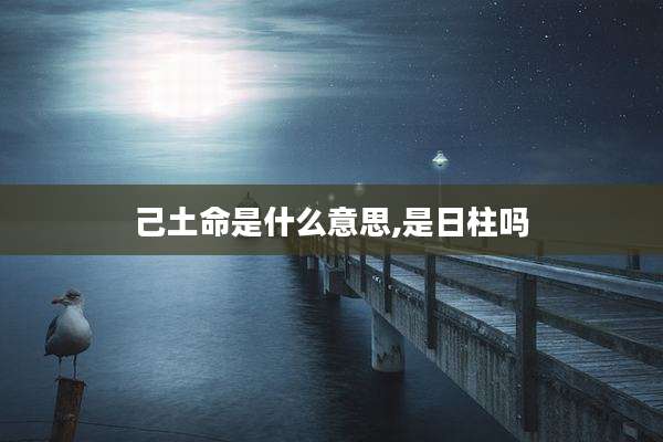 己土命是什么意思,是日柱吗