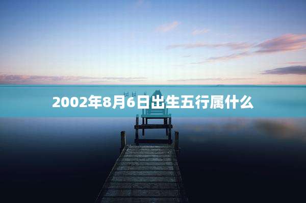 2002年8月6日出生五行属什么