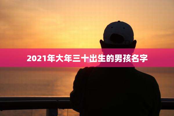 2021年大年三十出生的男孩名字
